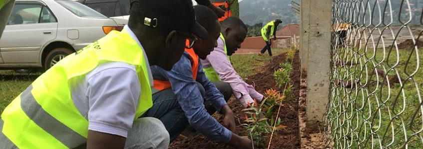 Tree Planting Exercise at St. Mark Church Of Uganda Rotary Vijana Poa Centre Tree Planting Exercise at St. Mark Church Of Uganda Rotary Vijana Poa Centre